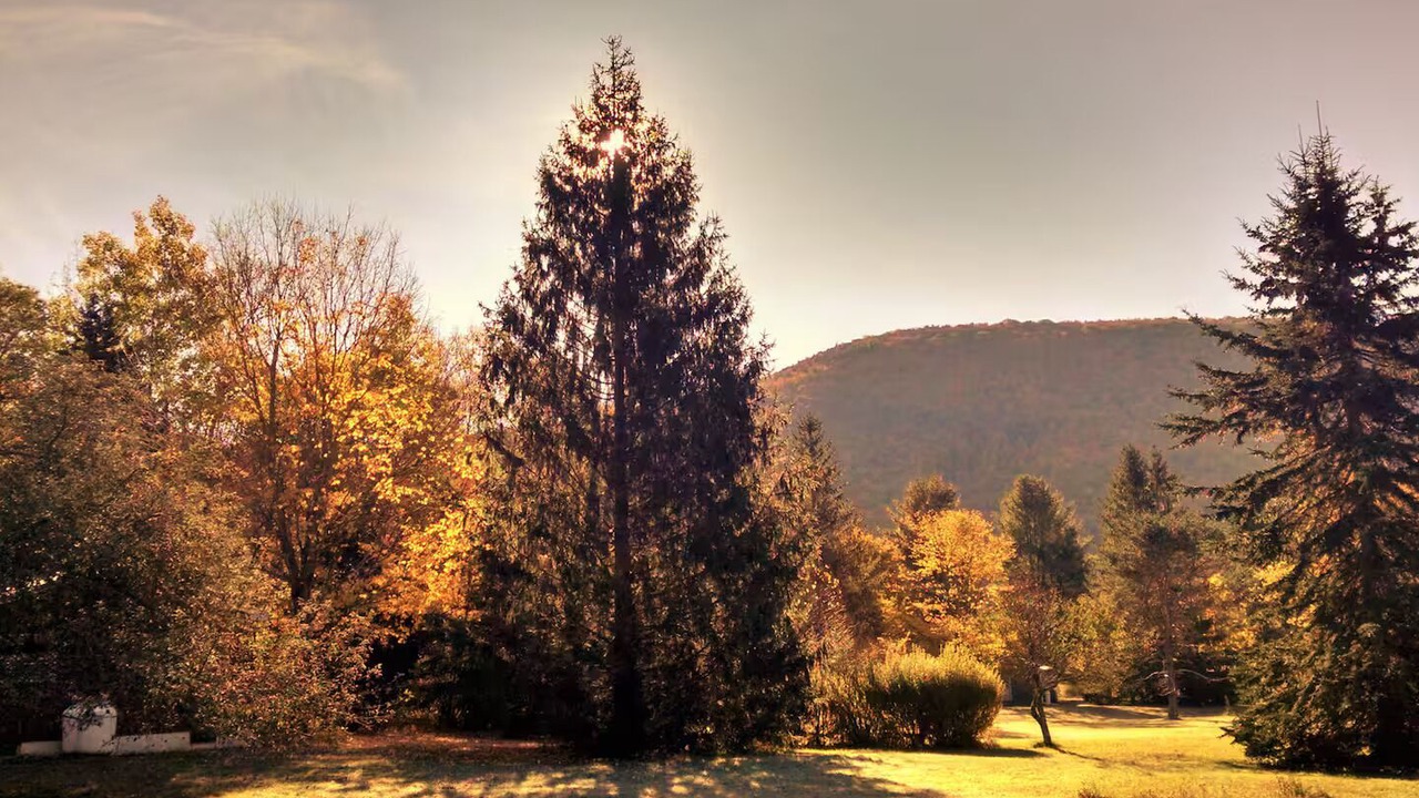 Photo of Others in Lanesville