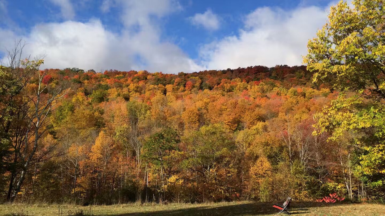 Photo of Others in Lanesville