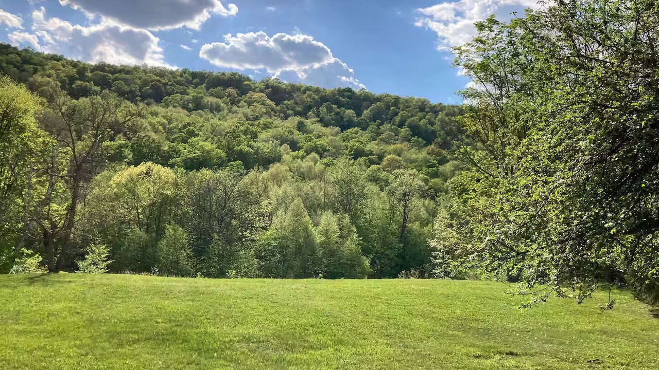 Photo of Others in Lanesville