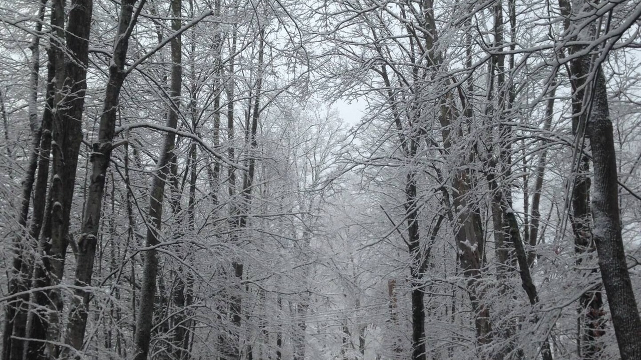 Photo of Others in Lanesville