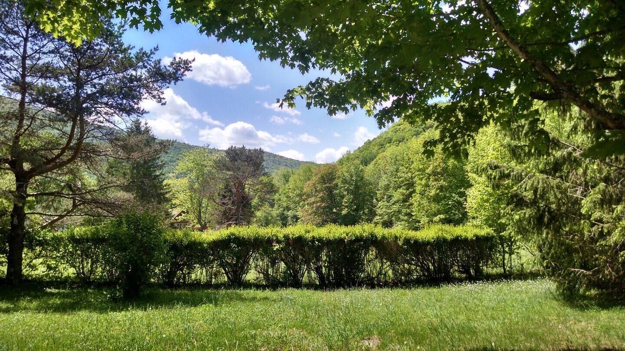 Photo of Others in Lanesville