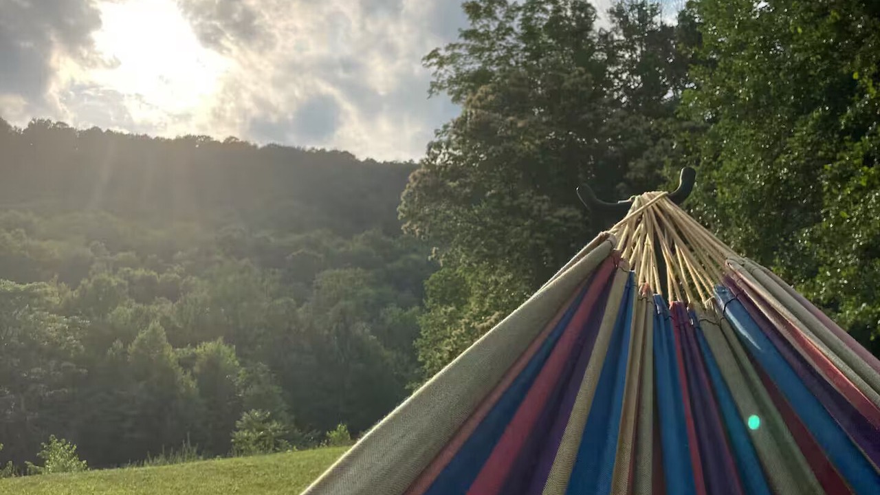 Photo of Others in Lanesville