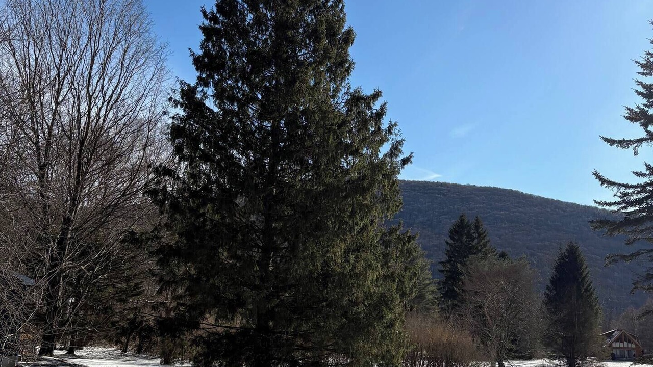 Photo of Others in Lanesville