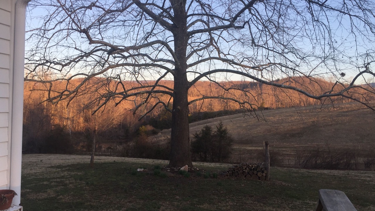 Photo of Outdoor in Batesville
