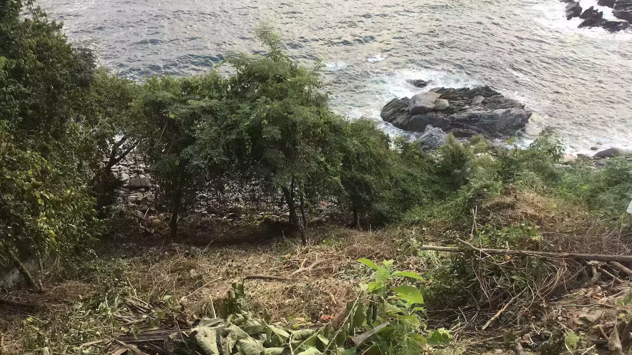 Photo of Others in Boca de Tomatlan
