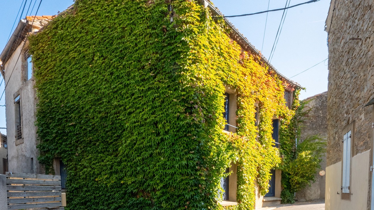 Photo of Outdoor in Laure-Minervois