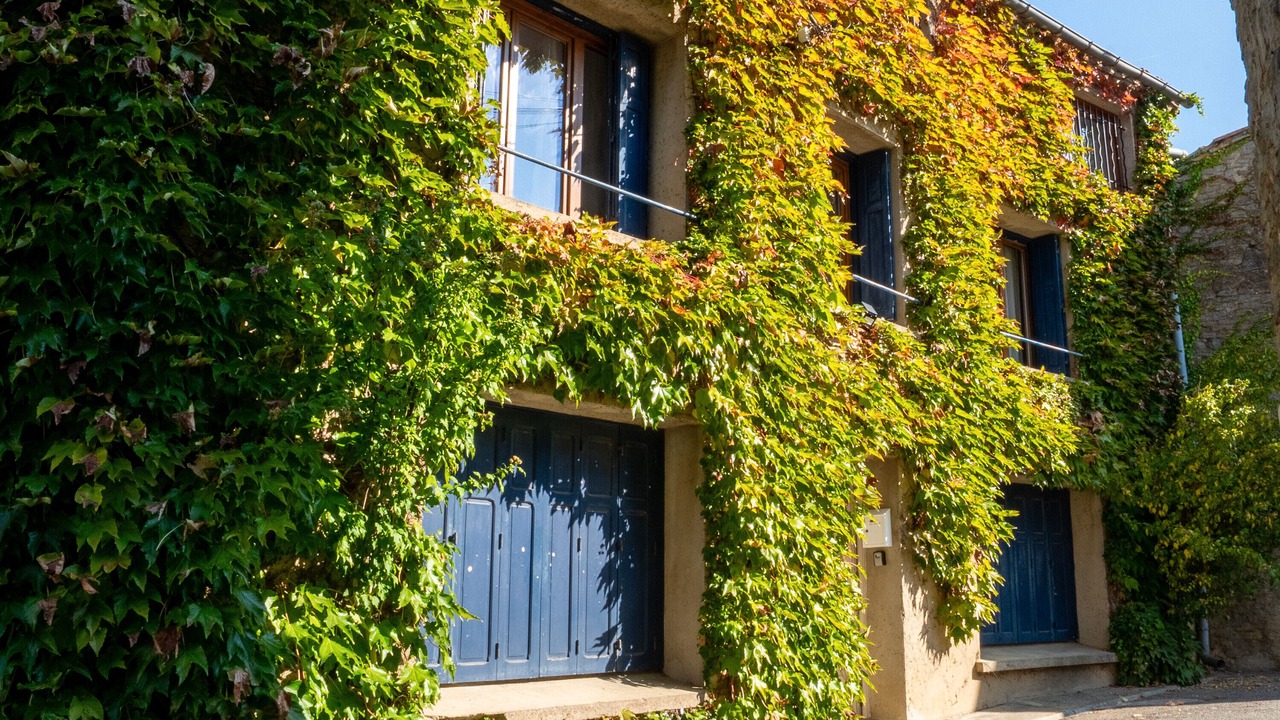 Photo of Outdoor in Laure-Minervois