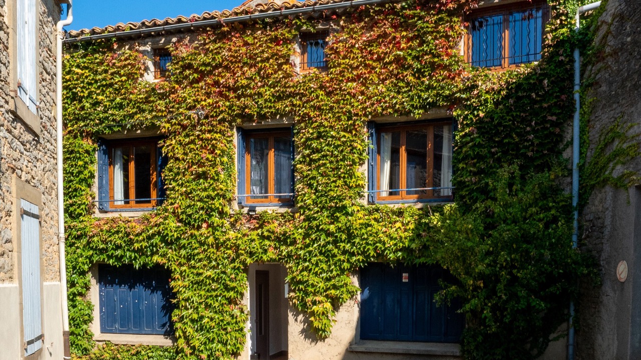 Photo of Outdoor in Laure-Minervois