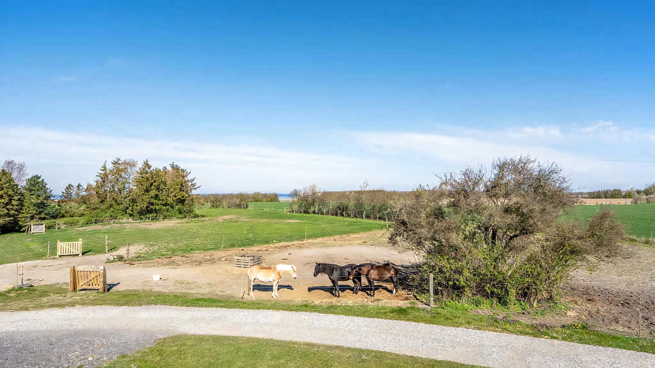 Photo of Others in Norre Alslev