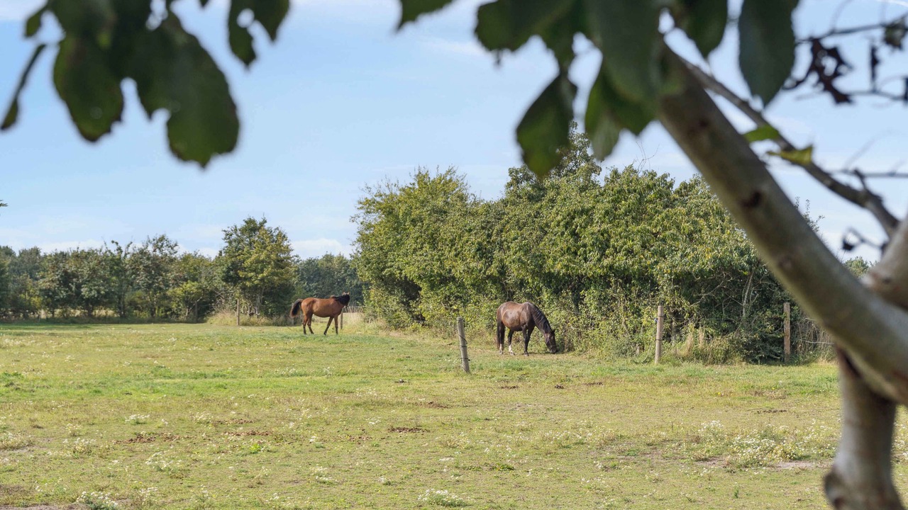 Photo of Others in Norre Alslev