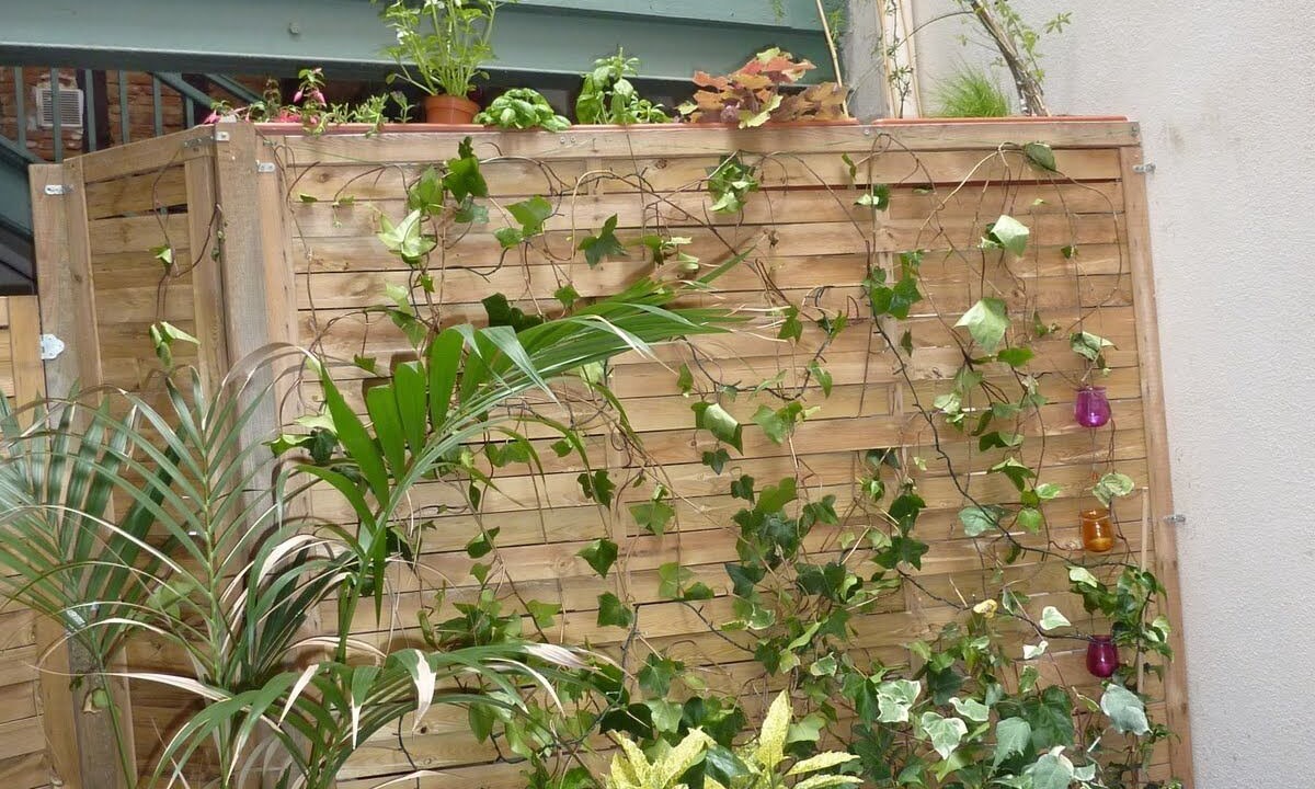 Photo of Outdoor in Saint-Etienne