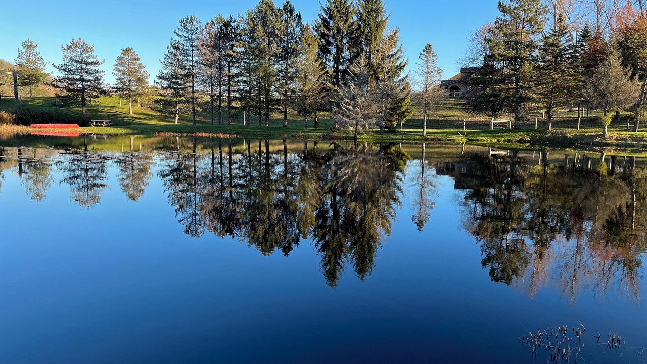 Photo of Others in Fly Creek