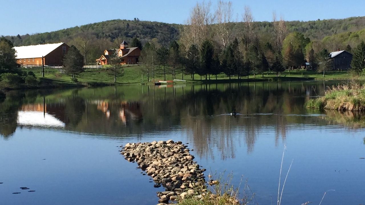 Photo of Others in Fly Creek