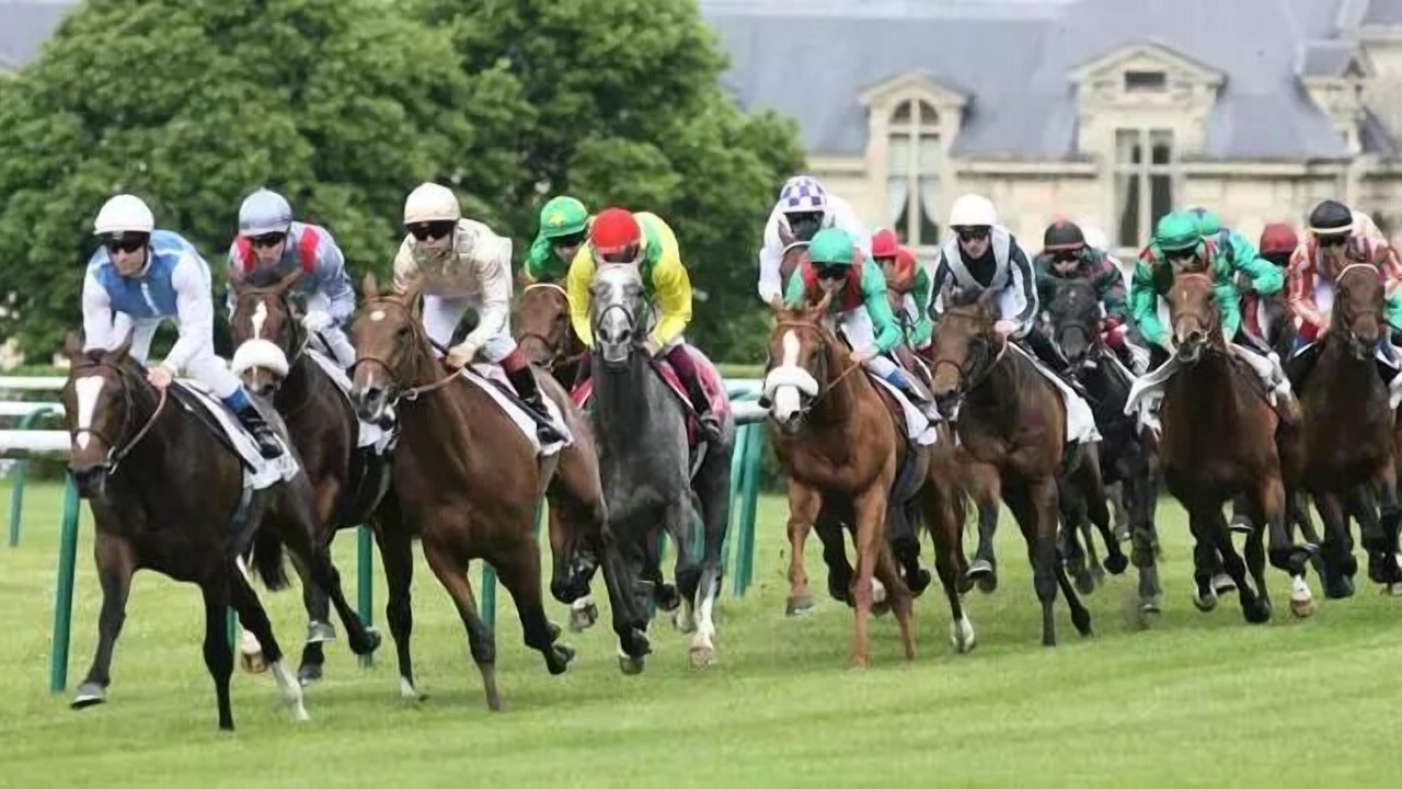 Photo of Others in Saint-Maximin