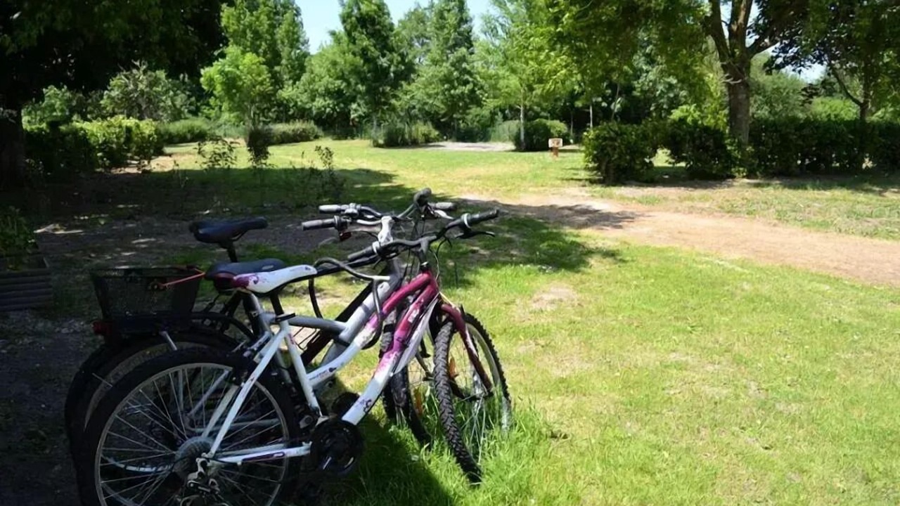 Photo of Outdoor in Saint-Maximin