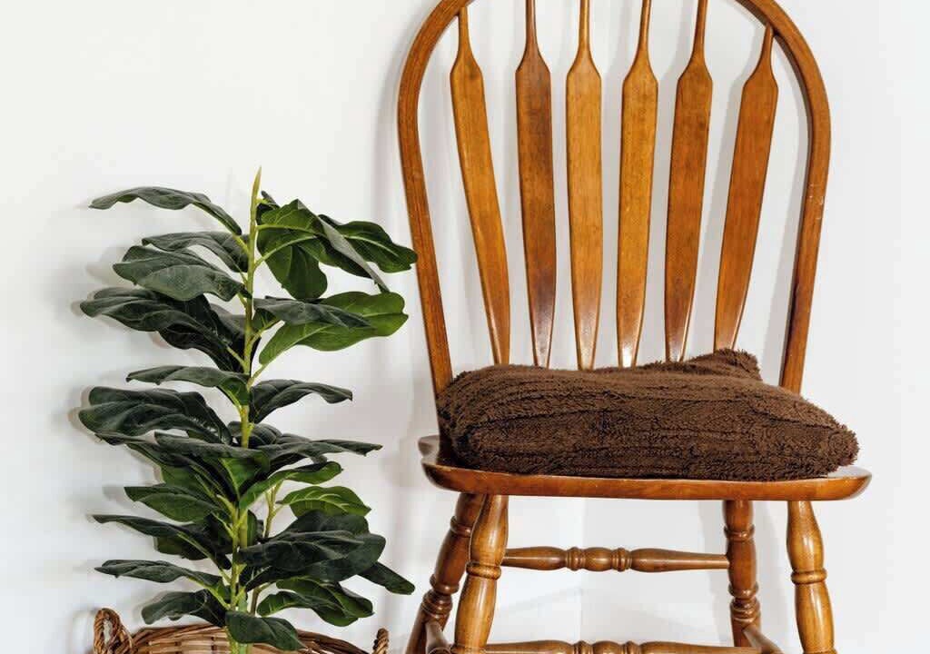 Photo of Others in Peterborough