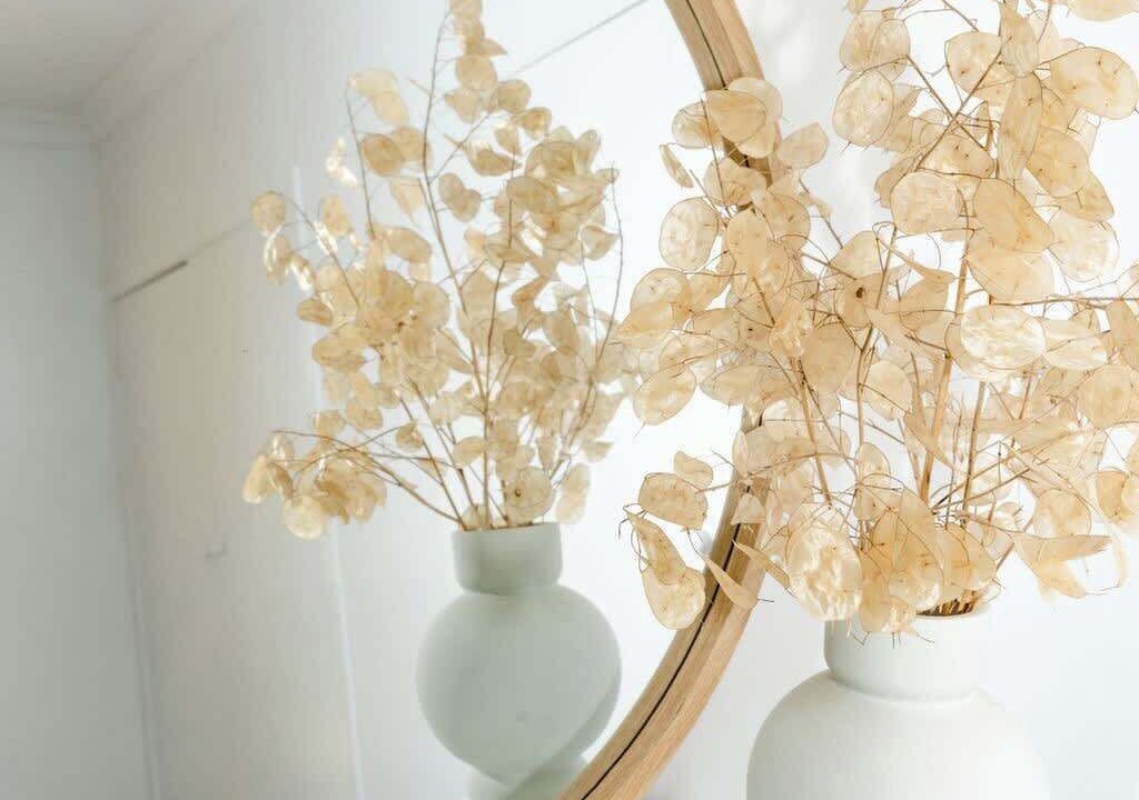 Photo of Others in Peterborough