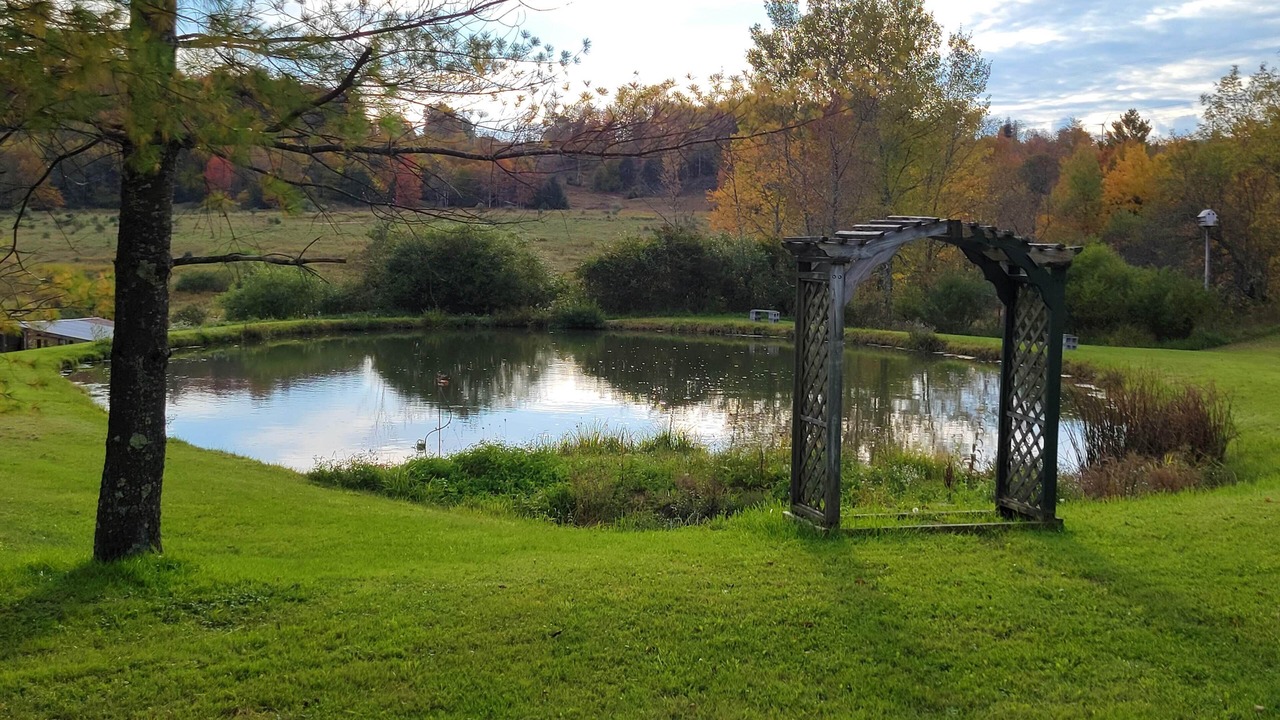 Photo of Outdoor in Canaan Valley