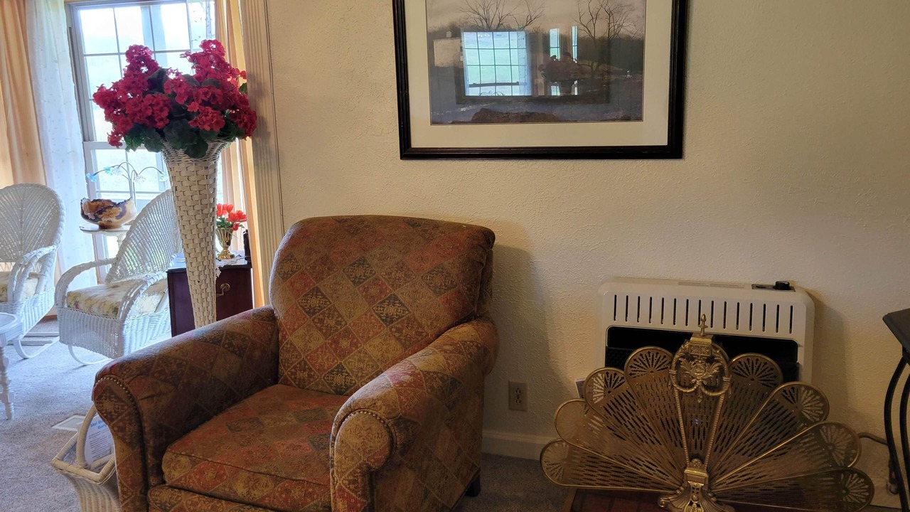 Photo of Livingroom in Canaan Valley