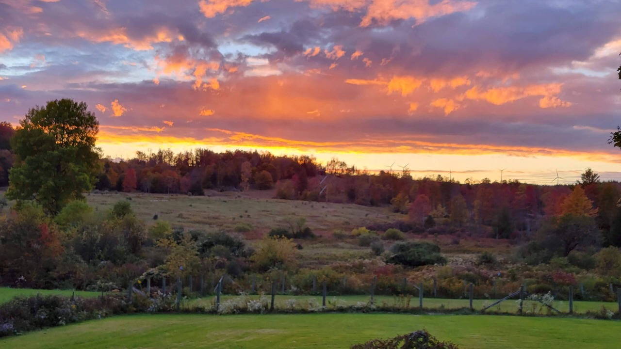 Photo of Others in Canaan Valley