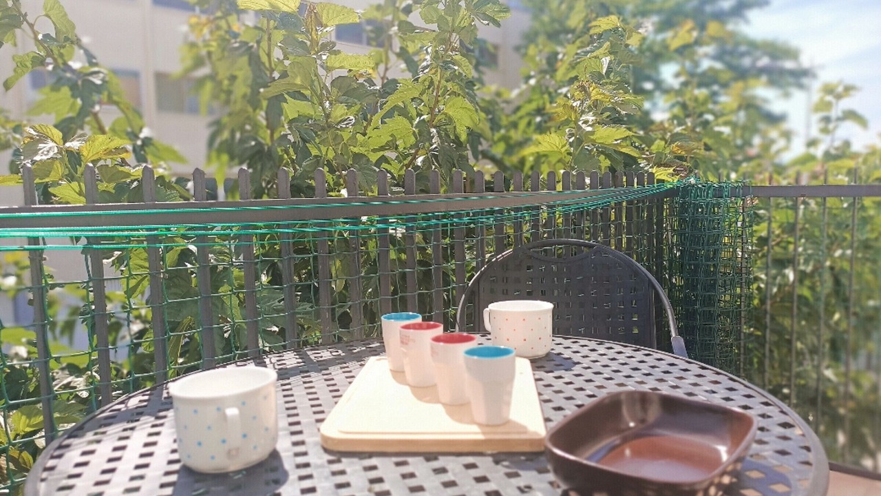 Photo of Outdoor in La Jetee