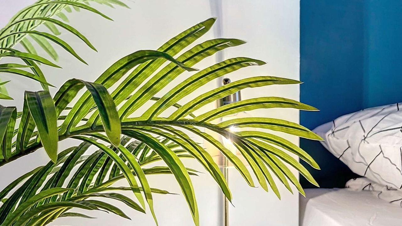 Photo of Bedroom in Pamiers