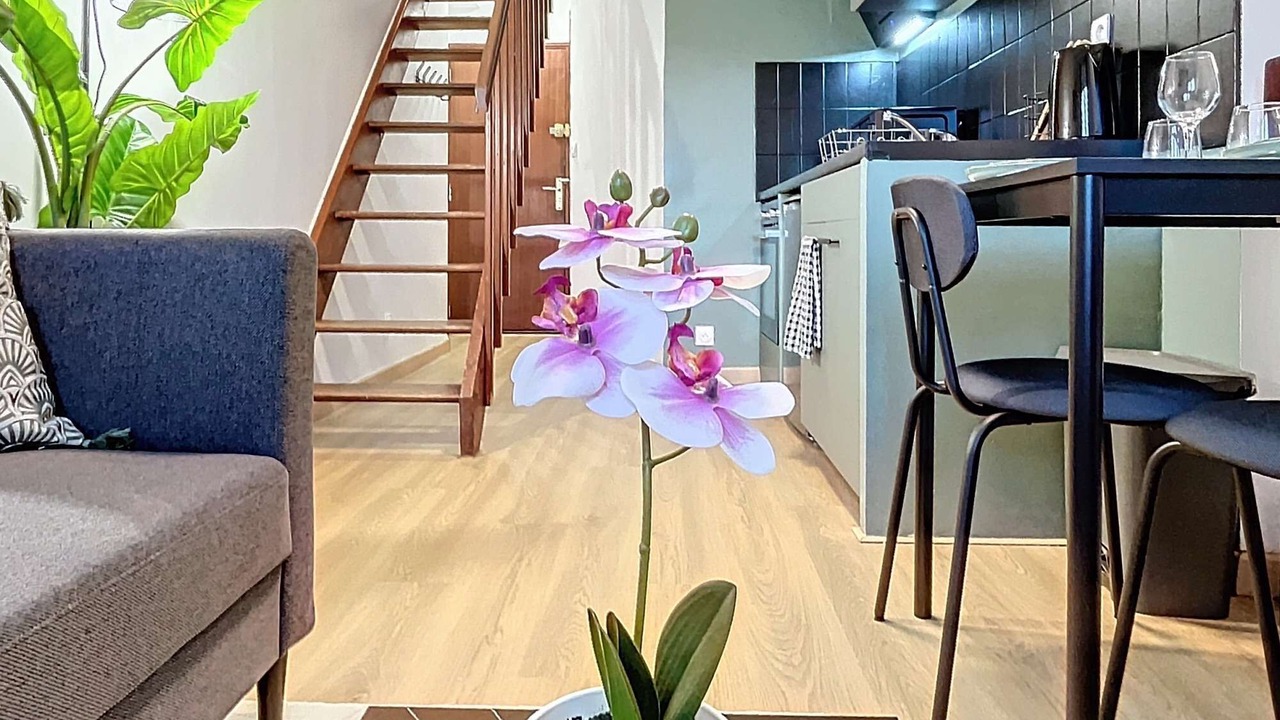 Photo of Livingroom in Pamiers