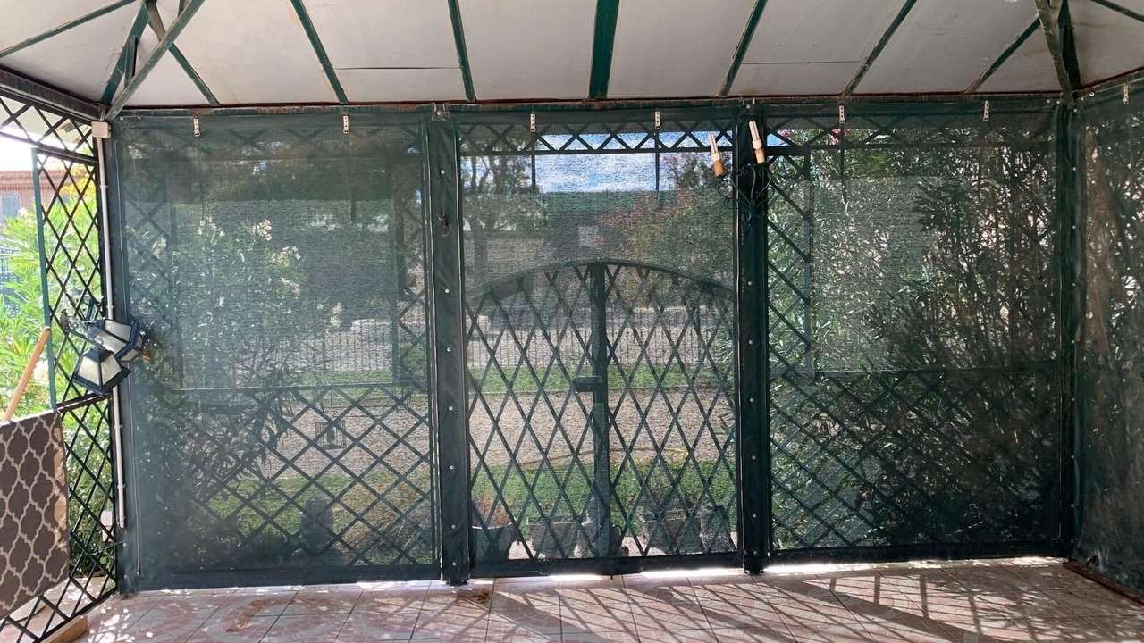 Photo of Others in Montelimar