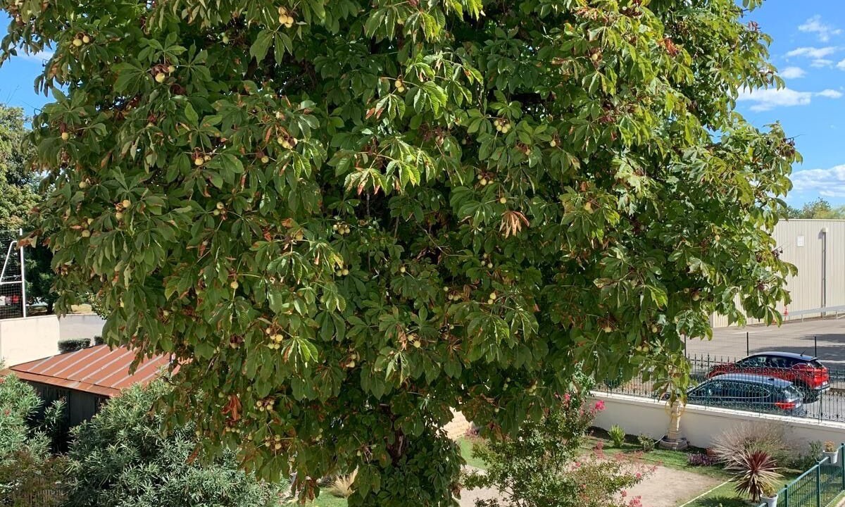 Photo of Outdoor in Montelimar