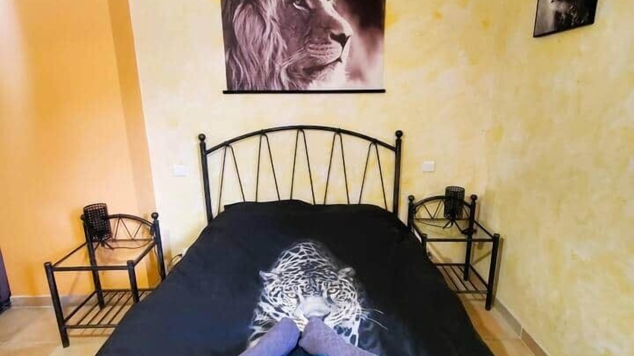 Photo of Bedroom in Sigean