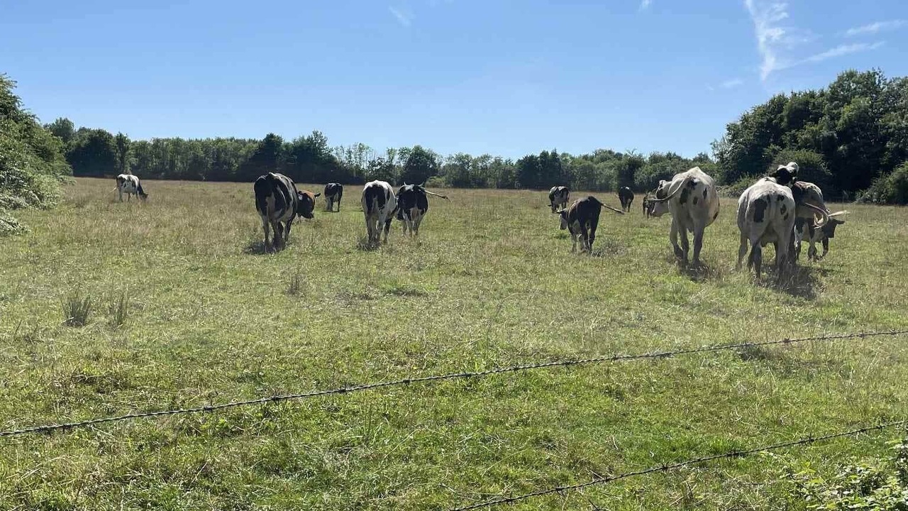 Photo of Others in Landouzy-la-Ville