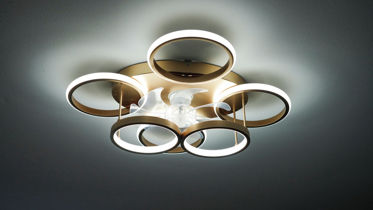 Photo of Others in Phoenixville