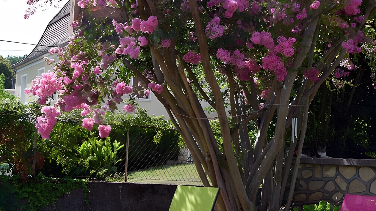 Photo of Outdoor in Saint-Germain-du-Salembre