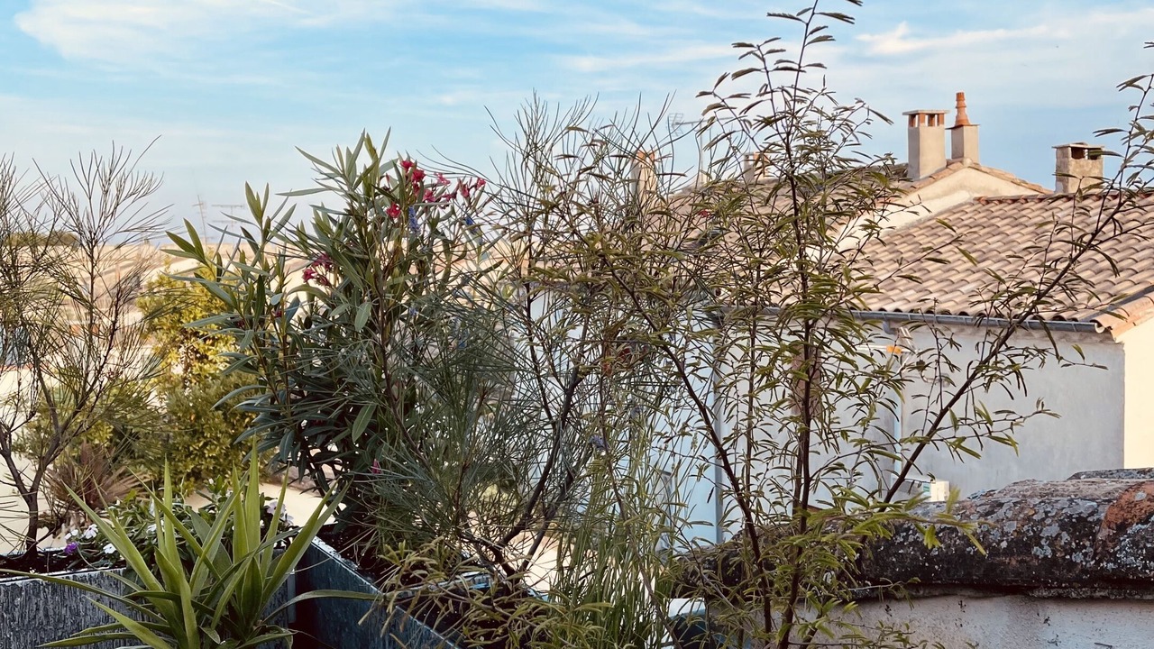 Photo of Outdoor in Aigues-Mortes Medieval City