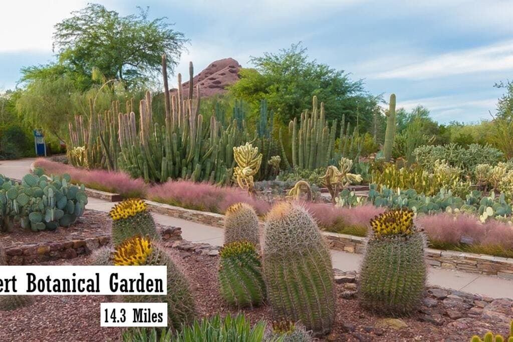 Photo of Outdoor in Sunset Ridge