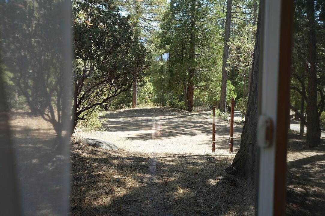 Photo of Others in Idyllwild