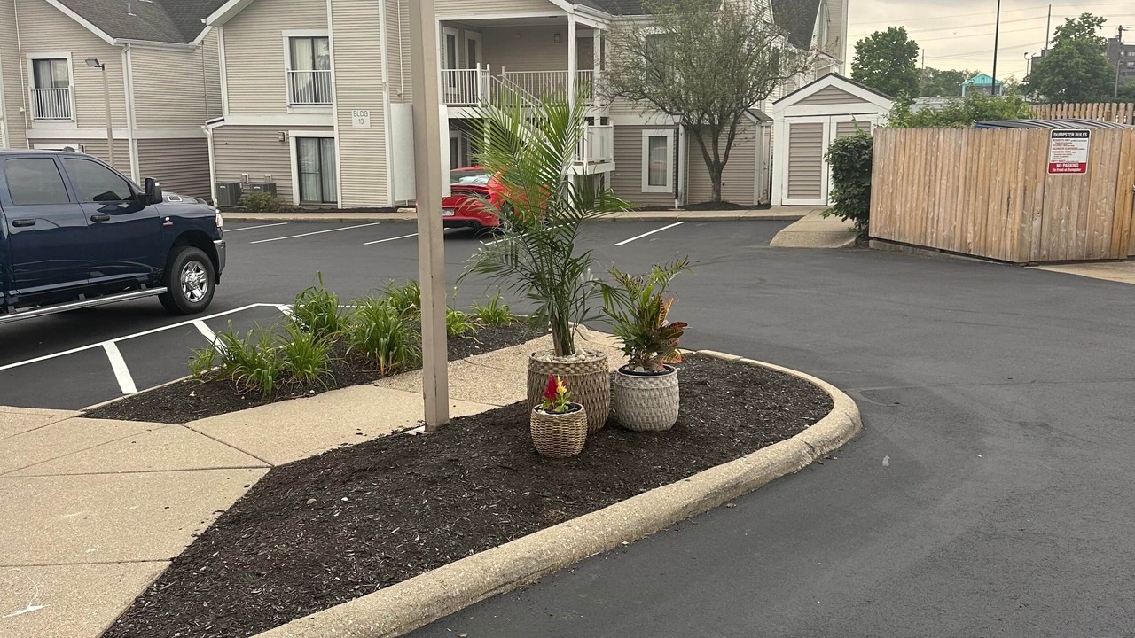 Photo of Others in Springdale
