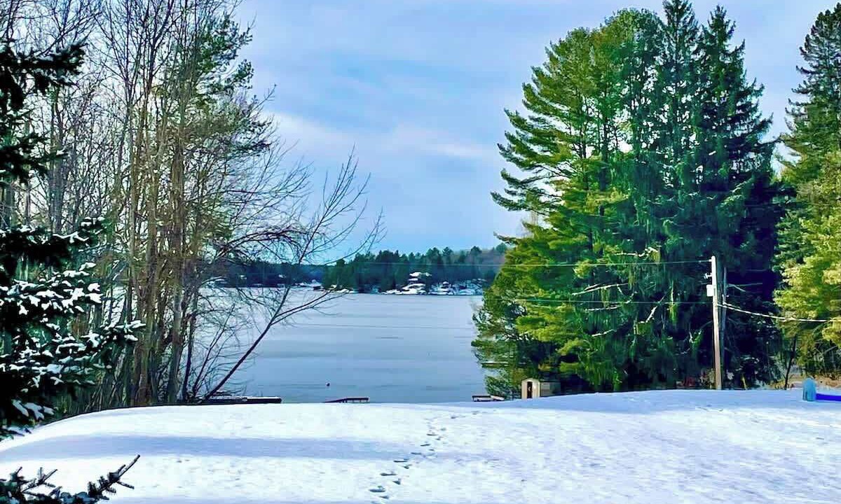 Photo of Others in Muskoka Lakes