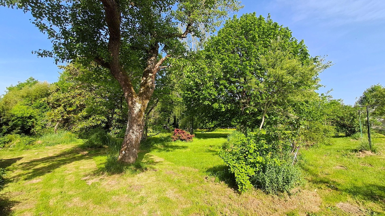 Photo of Others in Cuzion