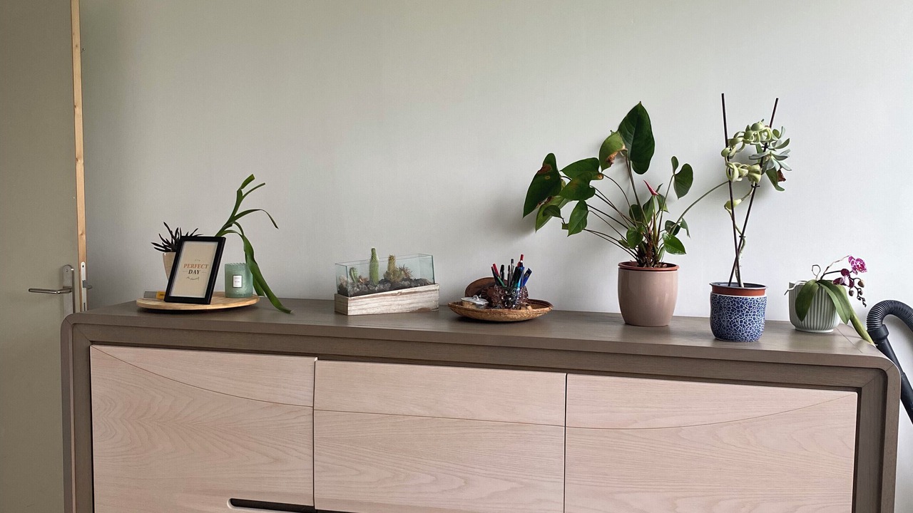 Photo of Others in Le Blanc