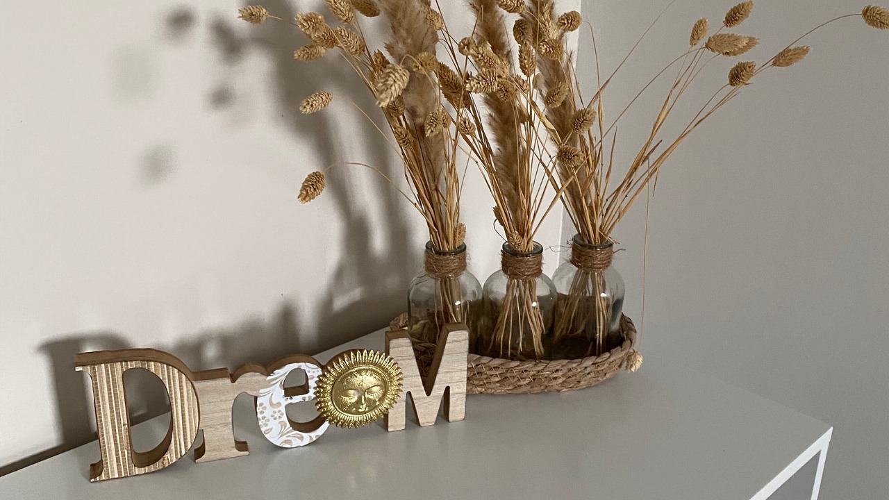 Photo of Others in Le Blanc