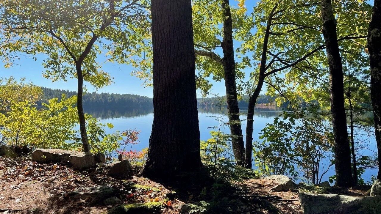 Photo of Others in Center Harbor