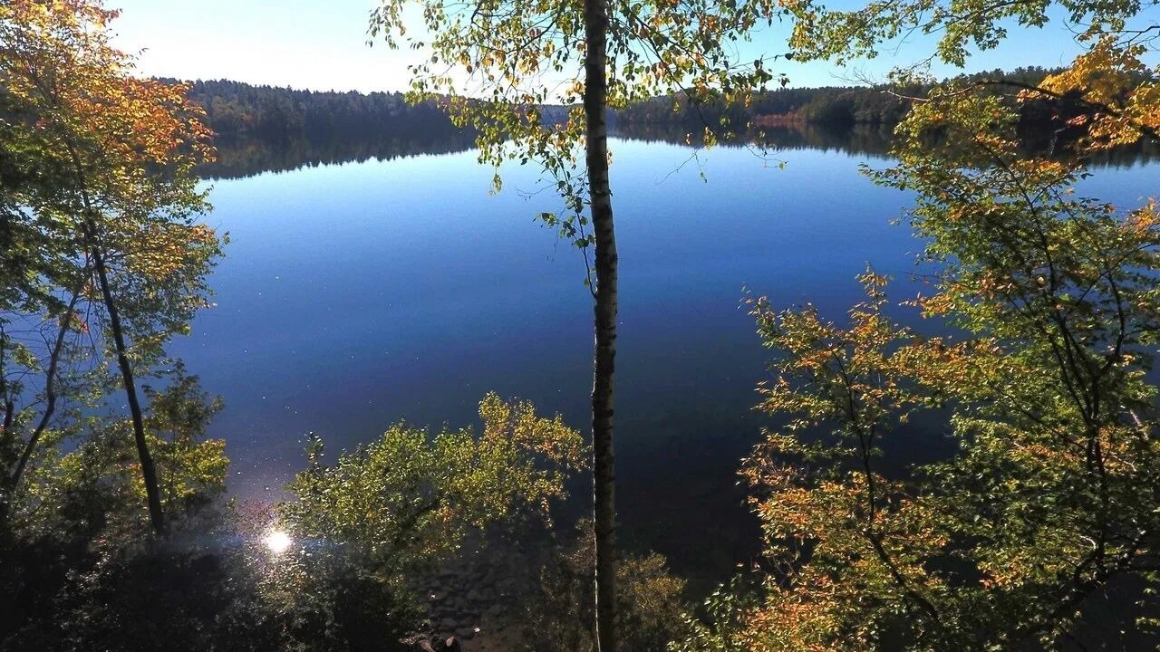 Photo of Others in Center Harbor