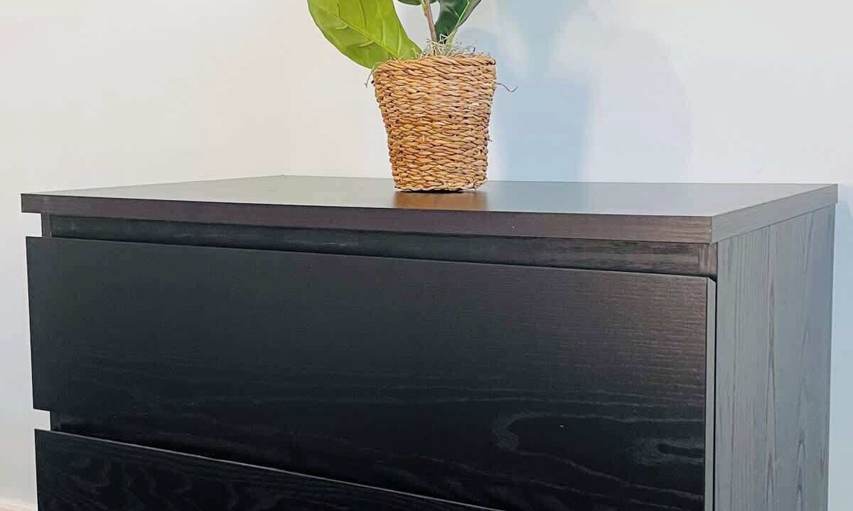 Photo of Others in Providence