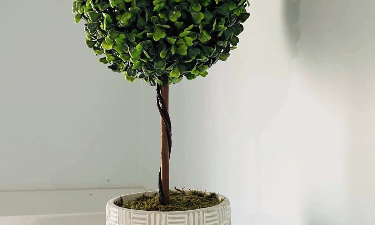 Photo of Others in Providence