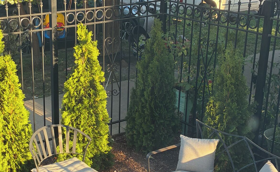 Photo of Outdoor in Brighton Park