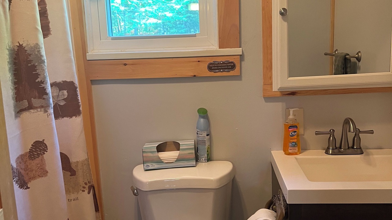 Photo of Bathroom in Town of Webb