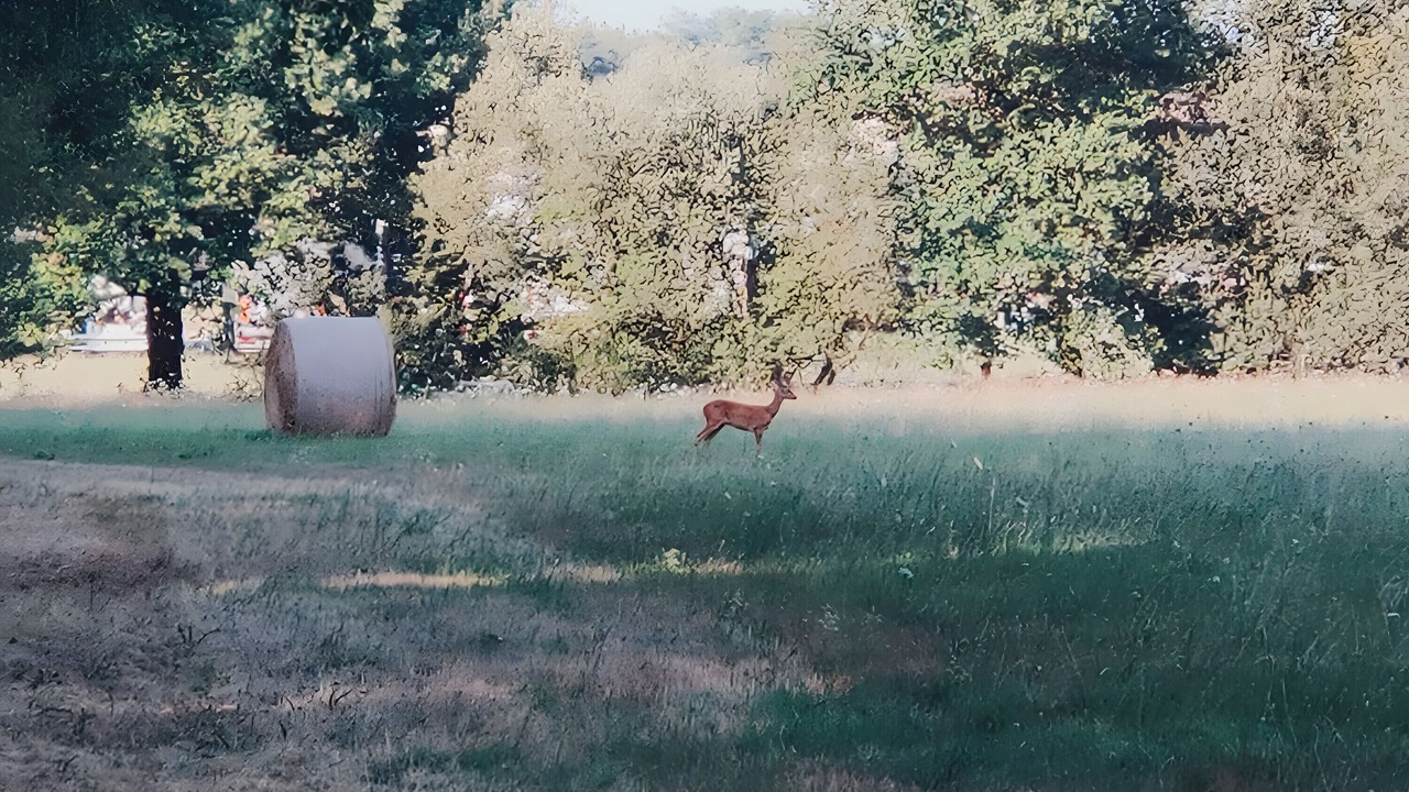 Photo of Others in Mazeres