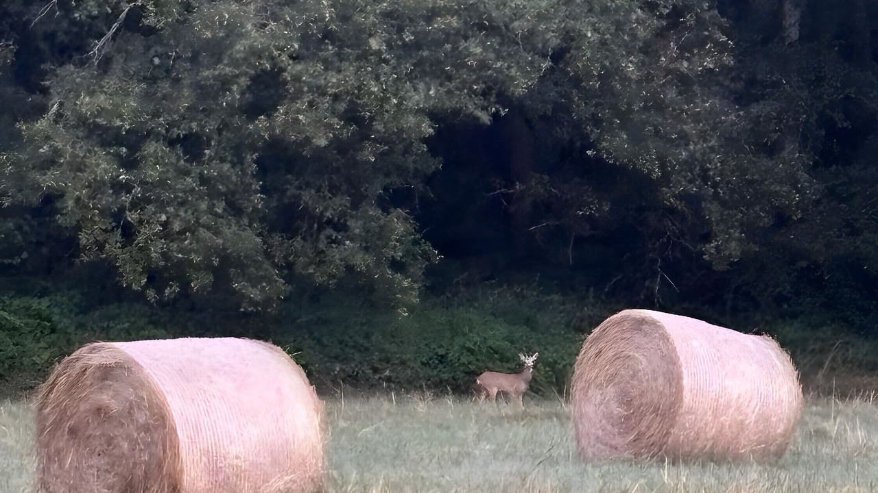 Photo of Others in Mazeres