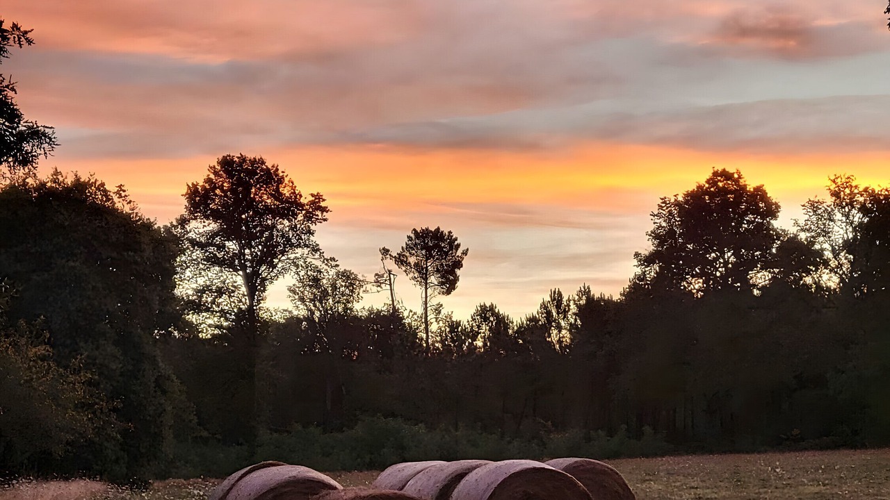 Photo of Others in Mazeres